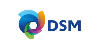 Logo de DSM